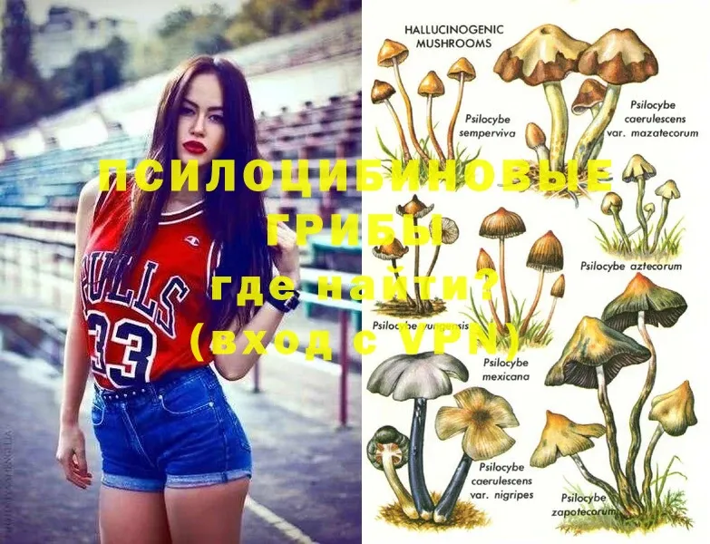 гидра рабочий сайт  где купить   Арск  Псилоцибиновые грибы Psilocybe 